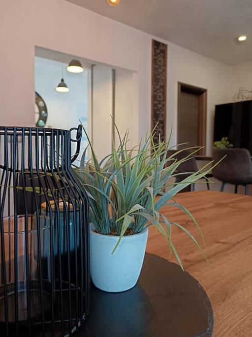 Holiday&Suite Klanac วีร์ ภายนอก รูปภาพ